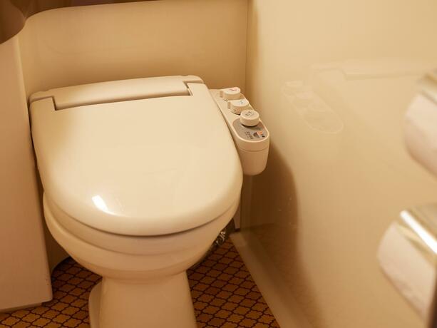 Imagen general del Hotel ecoHotel, Toyama. Foto 1