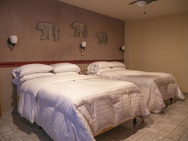 Imagen de la habitación del Hotel el C&oacute;ndor. Foto 8