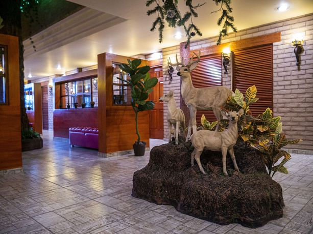 Imagen de los interiores del Hotel el C&oacute;ndor. Foto 18