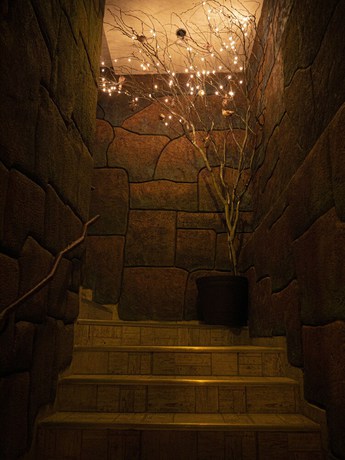 Imagen de los interiores del Hotel el C&oacute;ndor. Foto 19