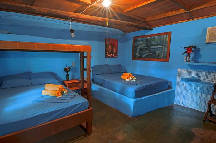 Imagen de la habitación del Hotel el Delfin. Foto 10