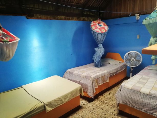 Imagen de la habitación del Hotel el Delfin. Foto 11