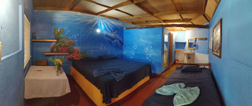 Imagen de la habitación del Hotel el Delfin. Foto 19