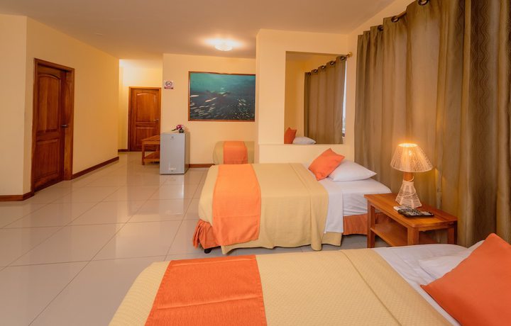 Imagen de la habitación del Hotel el descanso del Guia. Foto 9