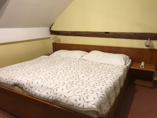 Imagen de la habitación del Hotel Čertousy. Foto 3