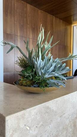 Imagen de los interiores del Hotel es Unico Express. Foto 33