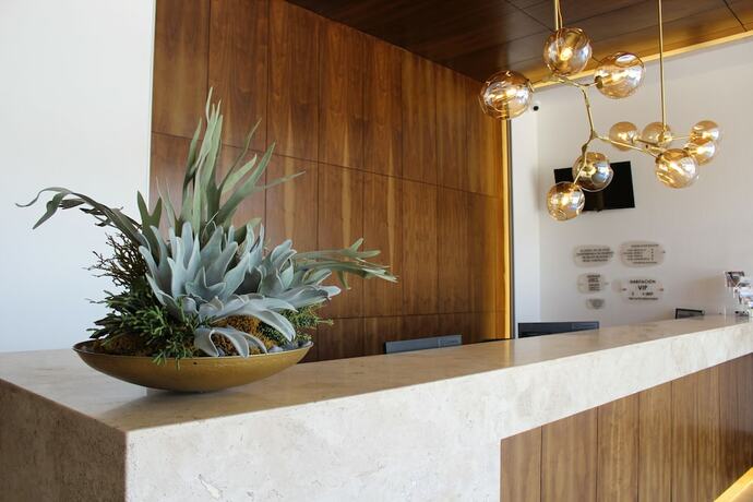 Imagen de los interiores del Hotel es Unico Express. Foto 39