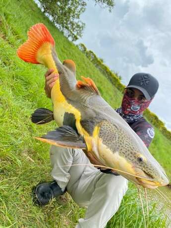 Imagen general del Hotel fazenda Pousada da serra. Foto 4