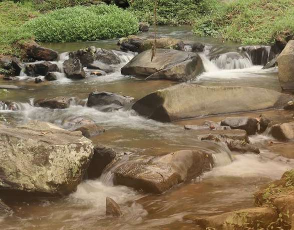 Imagen de la habitación del Hotel fazenda jequitib&aacute;. Foto 8
