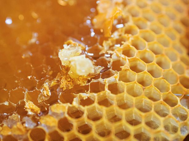 Imagen de los interiores del Hotel greet Hotel Marseille Provence Aéroport. Foto 16