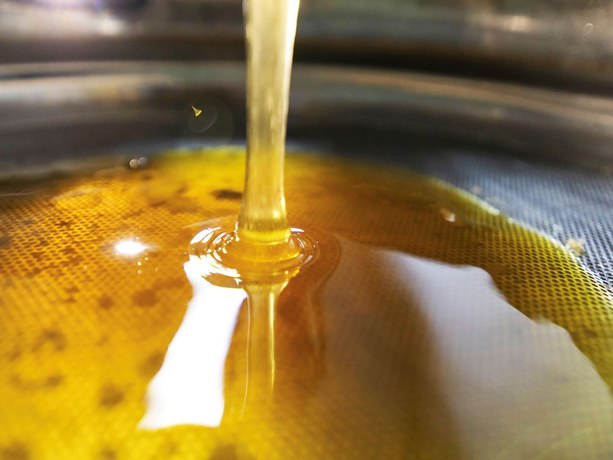 Imagen de los interiores del Hotel greet Hotel Marseille Provence Aéroport. Foto 17