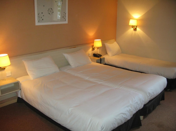 Imagen de la habitación del Hotel greet Hotel Massieux Lyon Nord. Foto 7