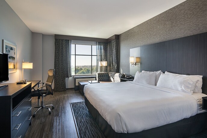 Imagen general del Hotel holiday inn hotel & suites silicon valley - milpit. Foto 5