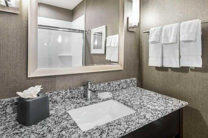 Imagen general del Hotel holiday inn hotel & suites silicon valley - milpit. Foto 7