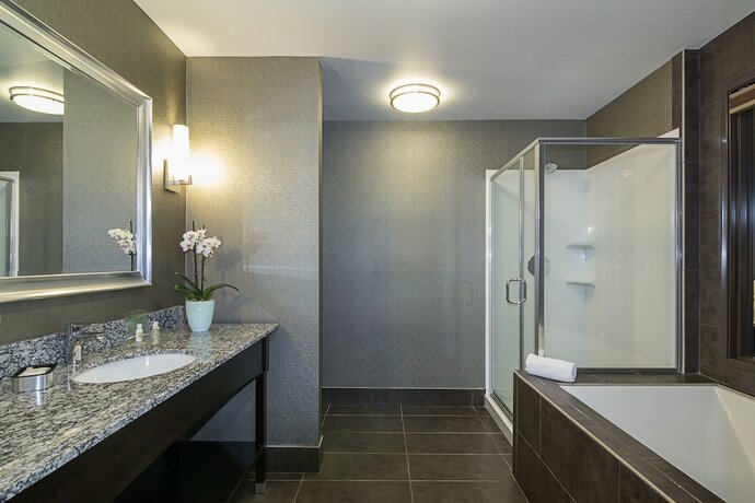 Imagen general del Hotel holiday inn hotel & suites silicon valley - milpit. Foto 9