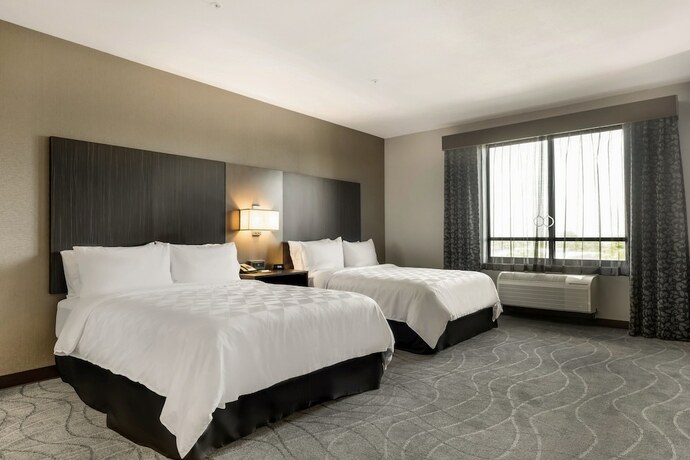Imagen de la habitación del Hotel holiday inn hotel & suites silicon valley - milpit. Foto 26