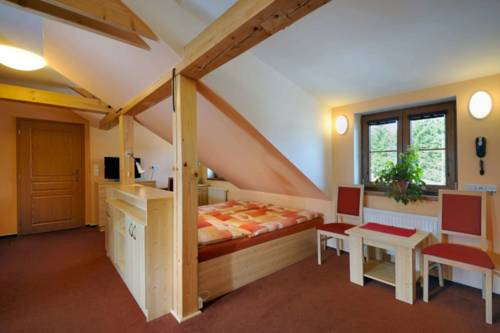 Imagen de la habitación del Hotel horsk&yacute; hotel kopřivn&aacute;. Foto 12