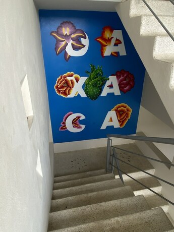 Imagen general del Hotel hotel Casa Justina. Foto 6