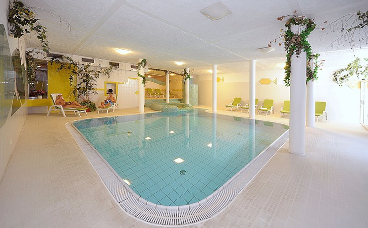 Imagen de la piscina del Hotel hotel Waldheim. Foto 14