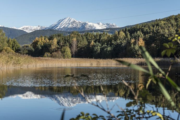 Imagen general del Hotel hotel Waldheim. Foto 2