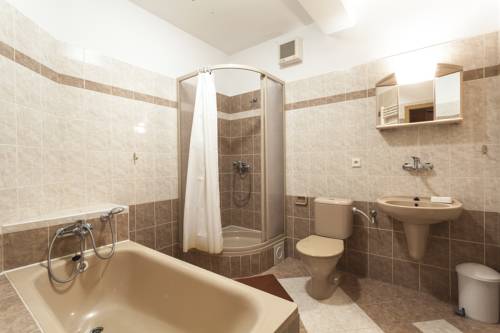 Imagen de la habitación del Hotel hotel adr&scaron;pach. Foto 10