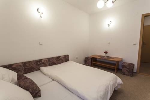 Imagen de la habitación del Hotel hotel adr&scaron;pach. Foto 16
