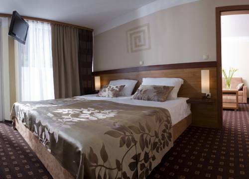 Imagen de la habitación del Hotel hotel aquapark žusterna. Foto 11