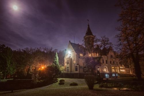 Imagen general del Hotel hotel bursztynowy pałac. Foto 5