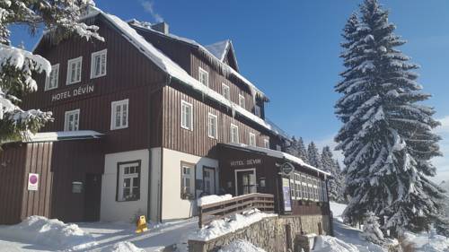 Imagen de la habitación del Hotel hotel děv&iacute;n. Foto 2