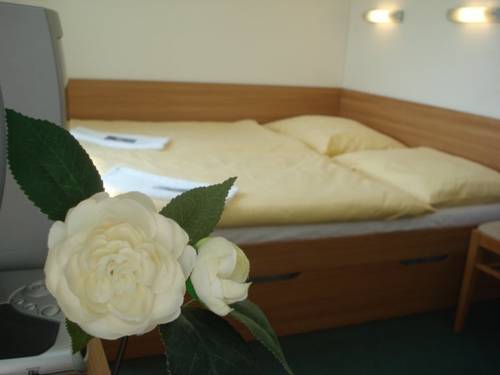 Imagen de la habitación del Hotel hotel děv&iacute;n. Foto 13