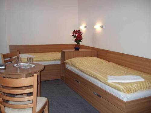 Imagen de la habitación del Hotel hotel děv&iacute;n. Foto 15