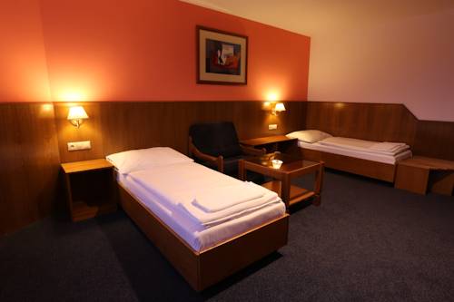 Imagen de la habitación del Hotel hotel hajčman. Foto 6