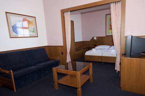 Imagen de la habitación del Hotel hotel hajčman. Foto 8