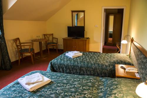 Imagen de la habitación del Hotel hotel žižkovy l&aacute;zně. Foto 11