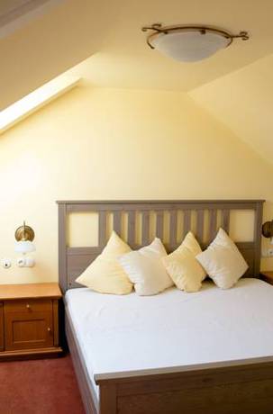 Imagen de la habitación del Hotel hotel žižkovy l&aacute;zně. Foto 15
