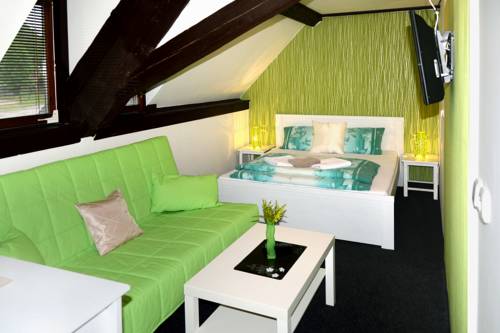 Imagen de la habitación del Hotel hotel jiřičn&aacute;. Foto 10