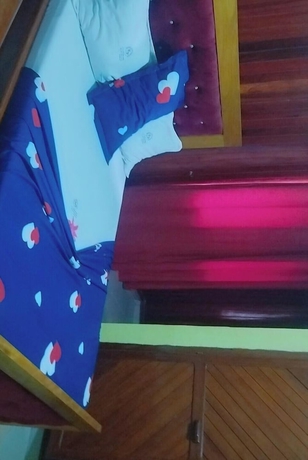 Imagen de la habitación del Hotel hotel le printemps, Douala. Foto 5