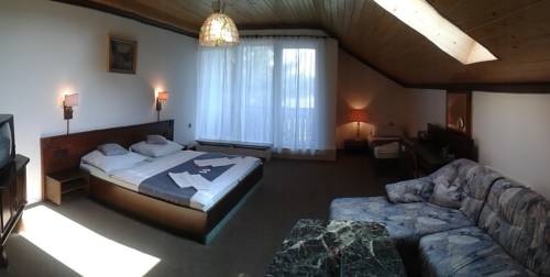 Imagen de la habitación del Hotel hotel pavla vysočina. Foto 7