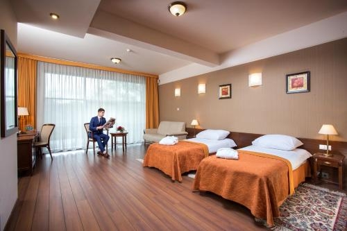 Imagen de la habitación del Hotel hotel słoneczny młyn. Foto 7
