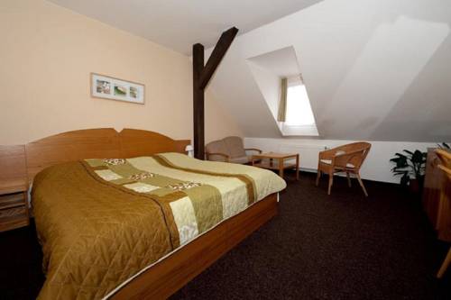 Imagen de la habitación del Hotel hotel u dvou medv&iacute;dků. Foto 3