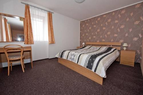 Imagen de la habitación del Hotel hotel u dvou medv&iacute;dků. Foto 4