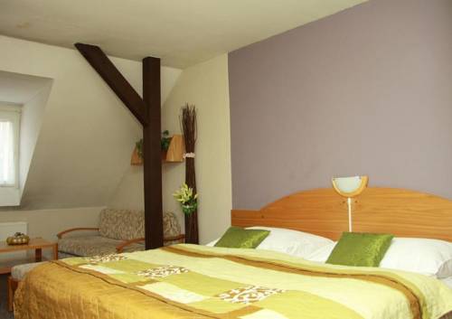 Imagen general del Hotel hotel u dvou medvídků. Foto 1