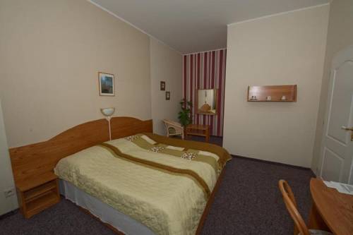 Imagen de la habitación del Hotel hotel u dvou medv&iacute;dků. Foto 9