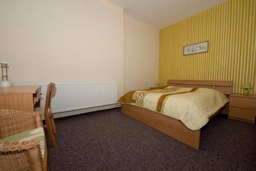Imagen de la habitación del Hotel hotel u dvou medv&iacute;dků. Foto 10
