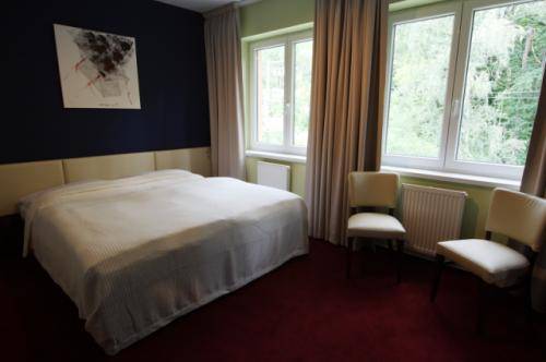 Imagen de la habitación del Hotel hotel u &scaron;ul&aacute;ka. Foto 3