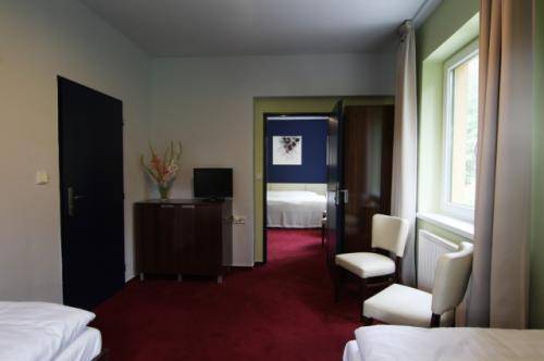 Imagen de la habitación del Hotel hotel u &scaron;ul&aacute;ka. Foto 4