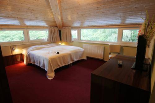 Imagen de la habitación del Hotel hotel u &scaron;ul&aacute;ka. Foto 6