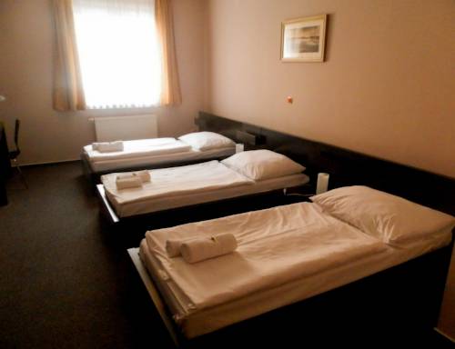 Imagen de la habitación del Hotel hotel zlat&aacute; &scaron;tika. Foto 12
