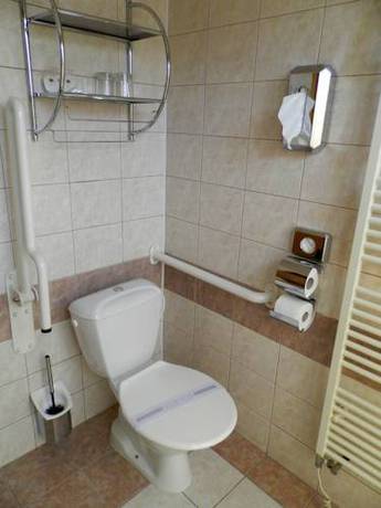 Imagen de la habitación del Hotel hotel zlat&aacute; &scaron;tika. Foto 14