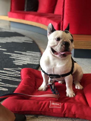 Imagen de los interiores del Hotel ibis Rio de Janeiro Nova America. Foto 17